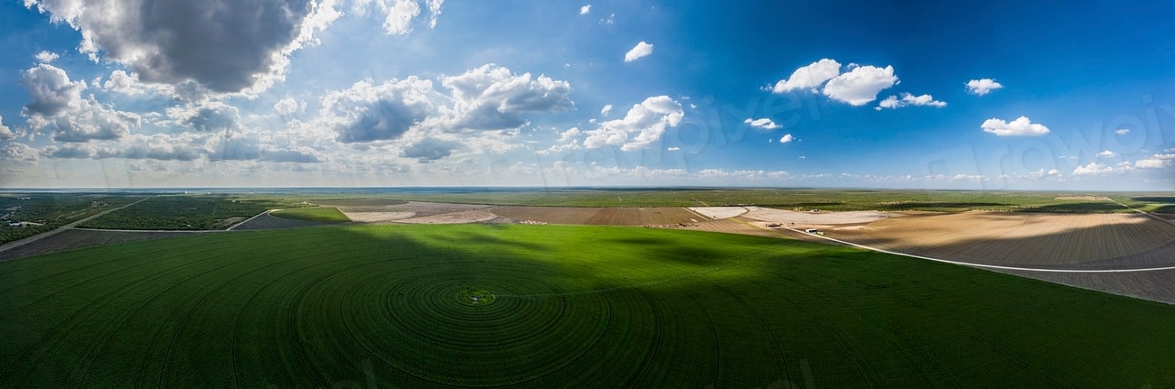 Aerial view across cultivated fields divided by tree lines, late in the day.